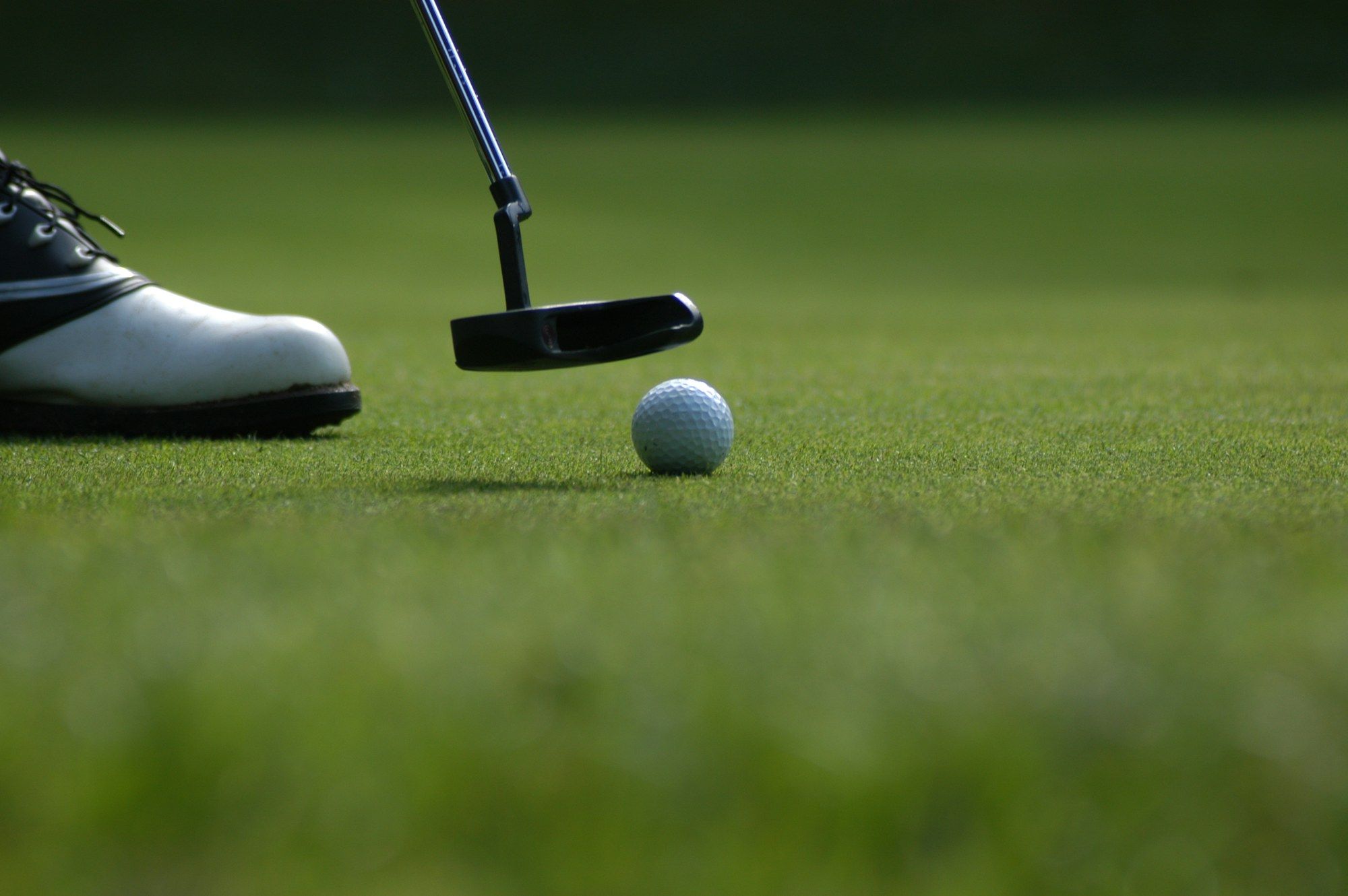 Nahaufnahme eines Putters hinter einem Golfball auf dem Grün, im Hintergrund der Schuh des Golfers